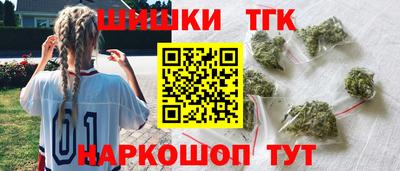 Альфа ПВП Гудермес