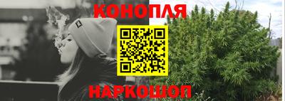 Альфа ПВП Гудермес