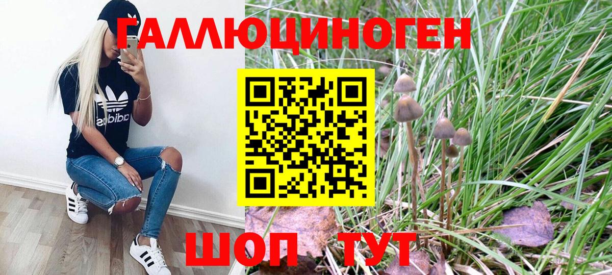 Псилоцибиновые грибы мухоморы Ейск